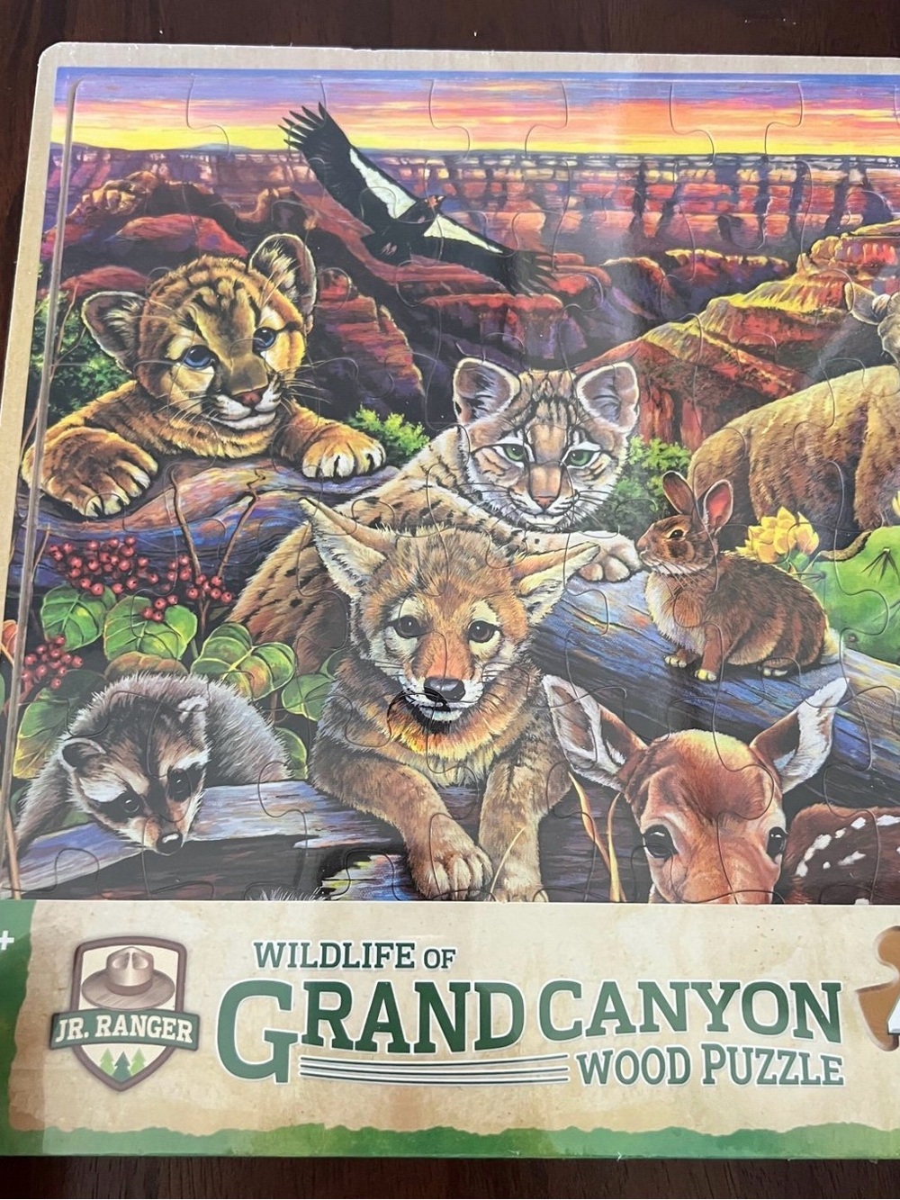Grand Canyon jr ranger kids puzzle